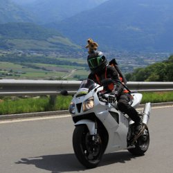 TPV 2015