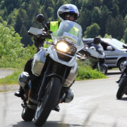 TPV 2015
