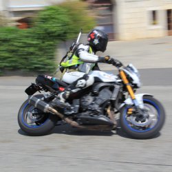 TPV 2015
